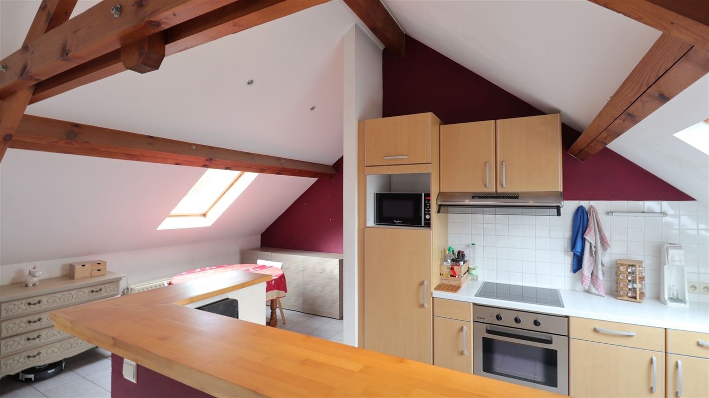 FAIRE OFFRE - 2 APPARTEMENTS - BEAU JARDIN