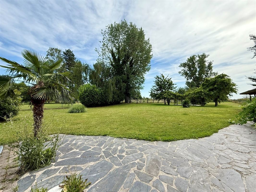 PISCINE - JACUZZI - JARDIN - 4 CH - CAMPAGNE