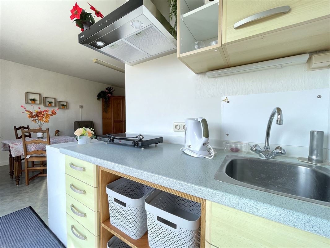 Joli appartement dans la résidence "Le Vert Galant"