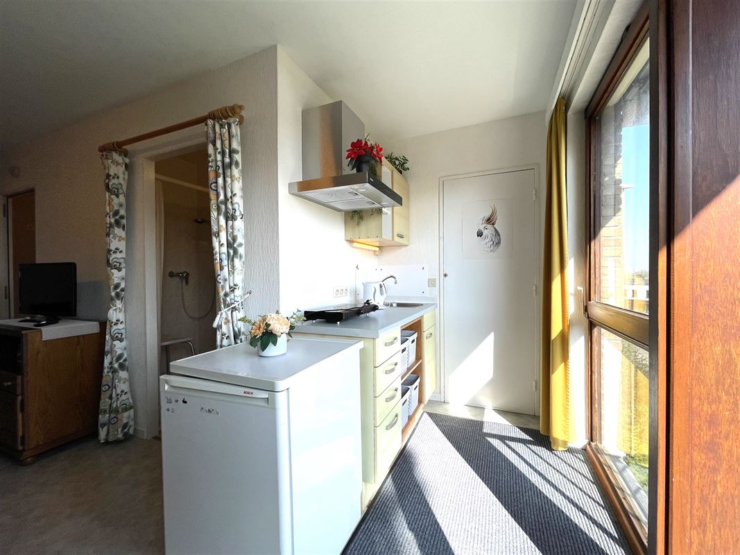 Joli appartement dans la résidence "Le Vert Galant"