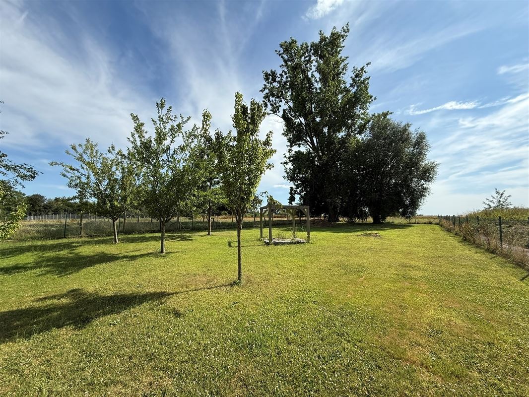 PISCINE - JACUZZI - JARDIN - 4 CH - CAMPAGNE