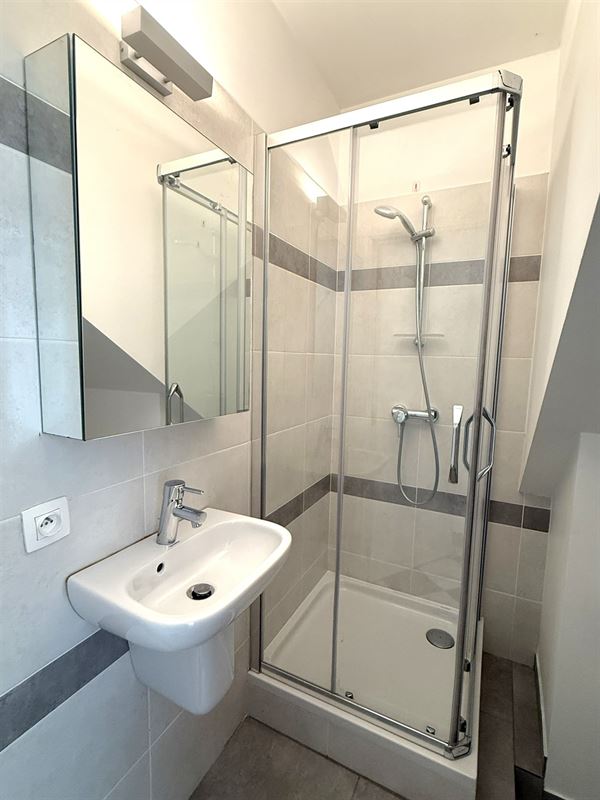 USAGE MIXTE - DOUBLE ACCES: PRIVE ET PROFESSIONNEL