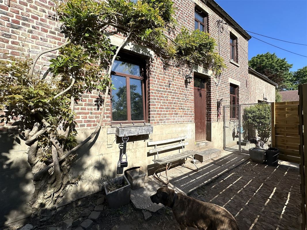 Propriété équestre: Maison, appt, écurie, pistes + loc prair