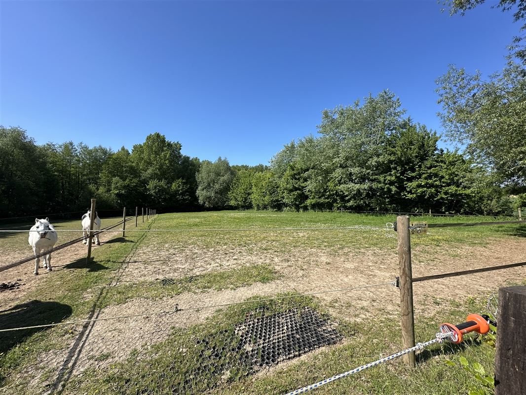 Propriété équestre: Maison, appt, écurie, pistes + loc prair