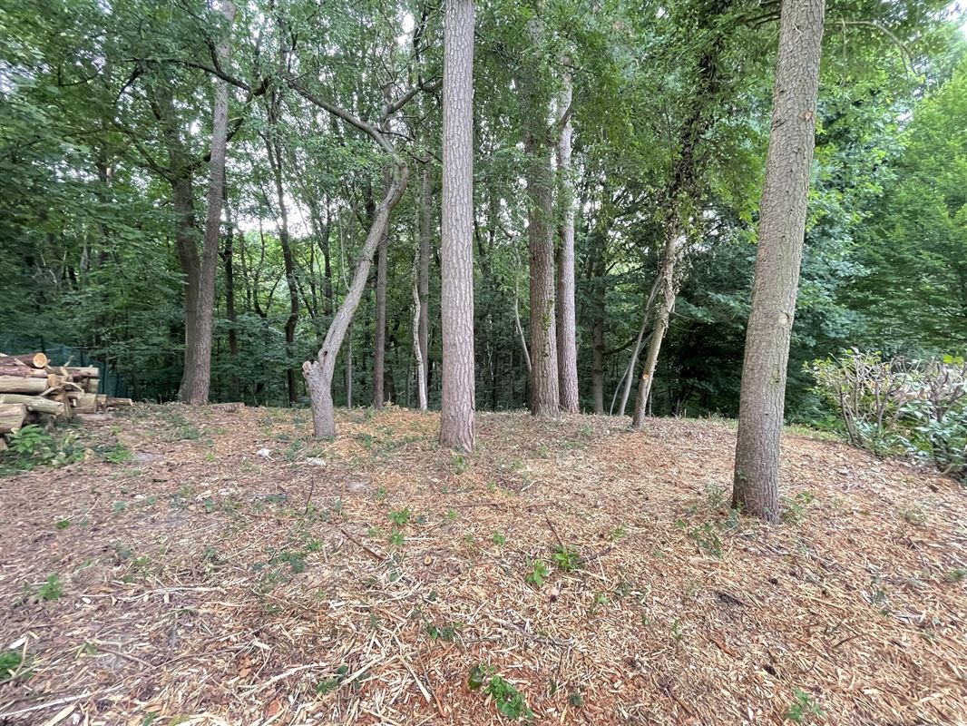Magnifique terrain boisé dans un "clos privatif"