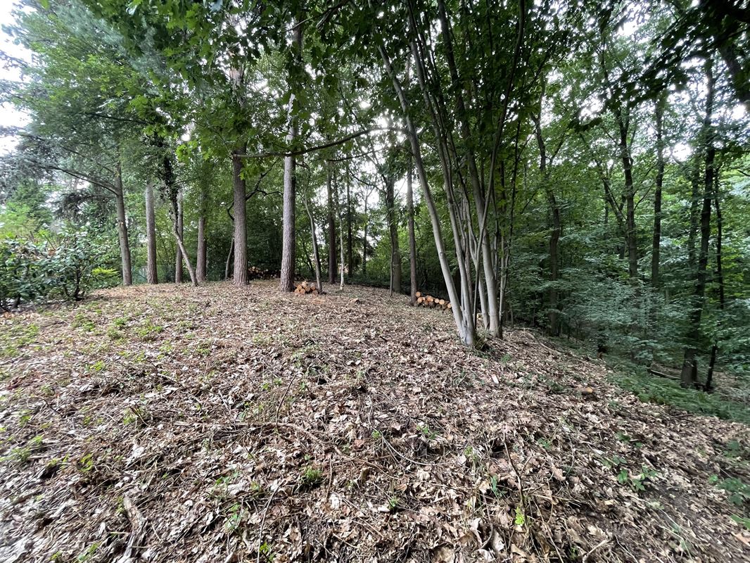 Magnifique terrain boisé dans un "clos privatif"