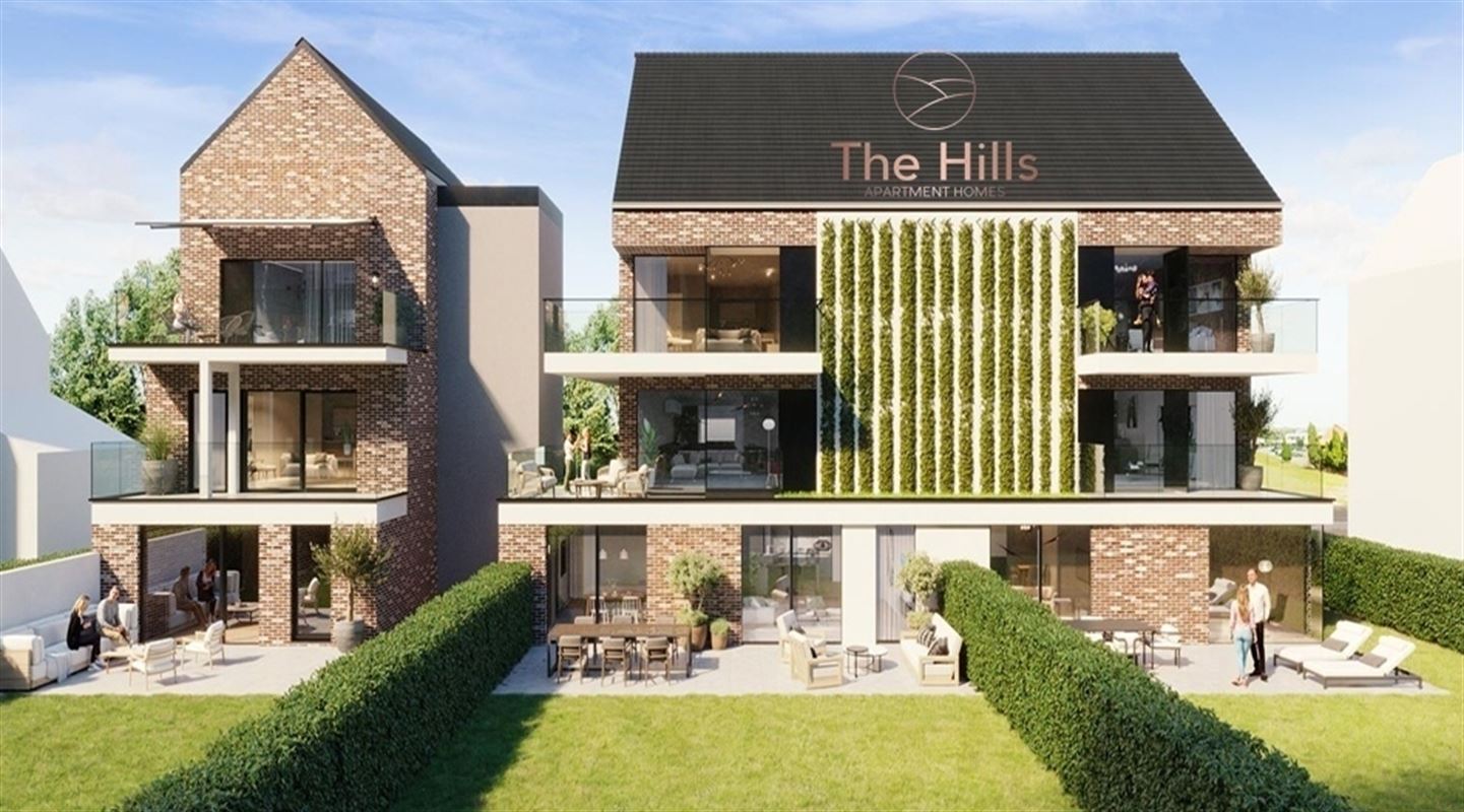 The Hills