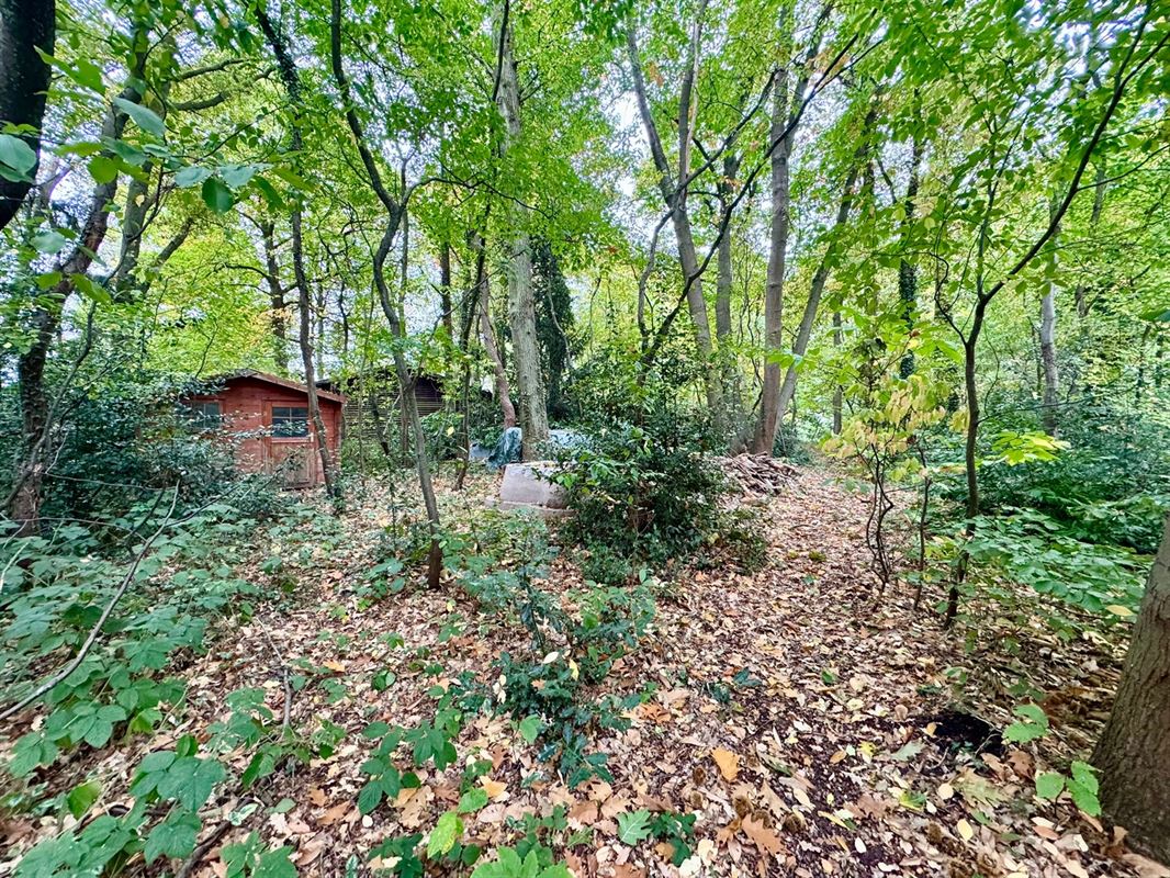 MAGNIFIQUE MAISON DE PLAIN PIED DANS LES BOIS