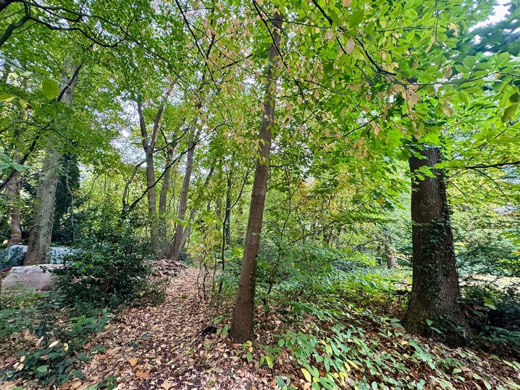 MAGNIFIQUE MAISON DE PLAIN PIED DANS LES BOIS