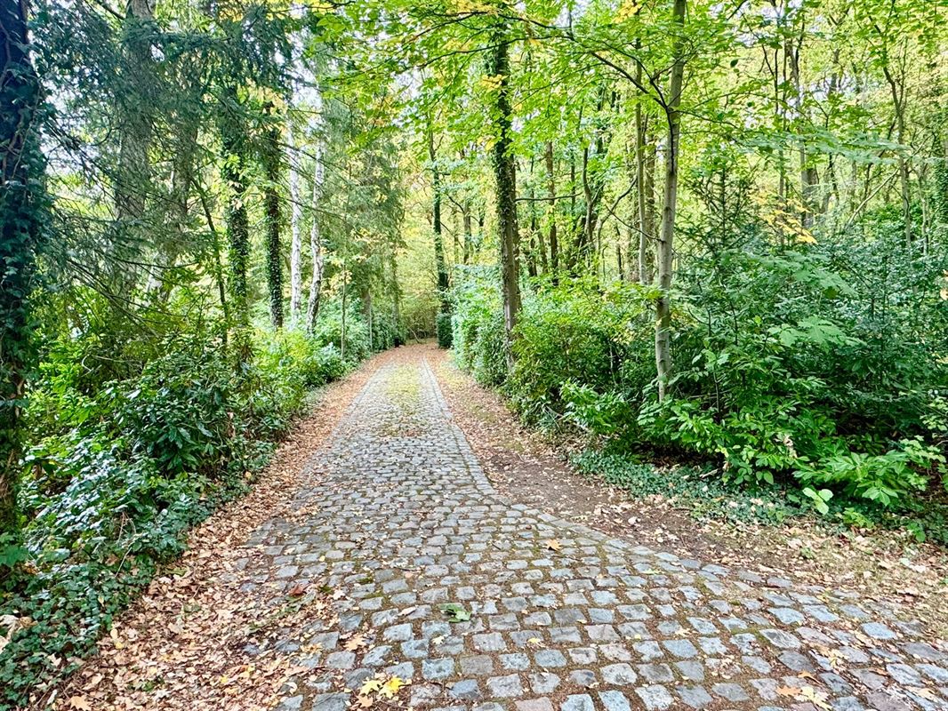 MAGNIFIQUE MAISON DE PLAIN PIED DANS LES BOIS