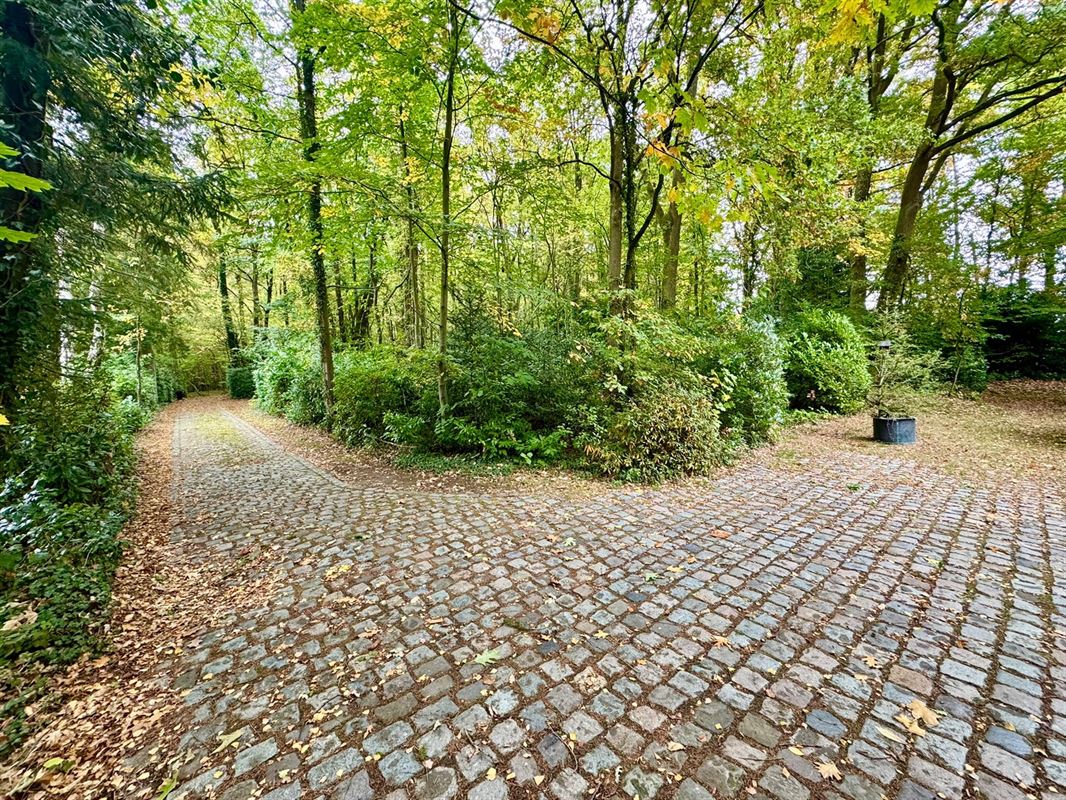 MAGNIFIQUE MAISON DE PLAIN PIED DANS LES BOIS