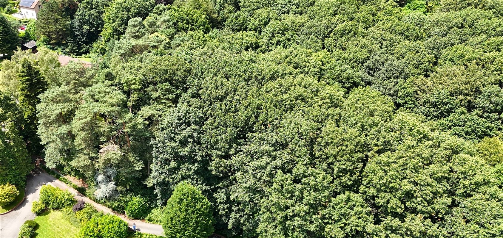 Magnifique terrain boisé dans un "clos privatif"