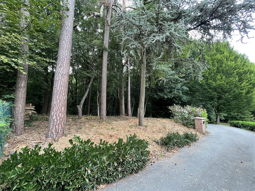Magnifique terrain boisé dans un "clos privatif"