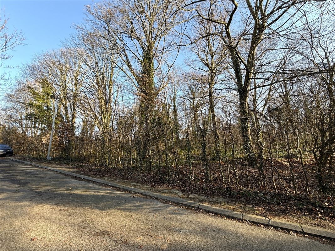 Lot 1 : Terrain à la situation privilégiée