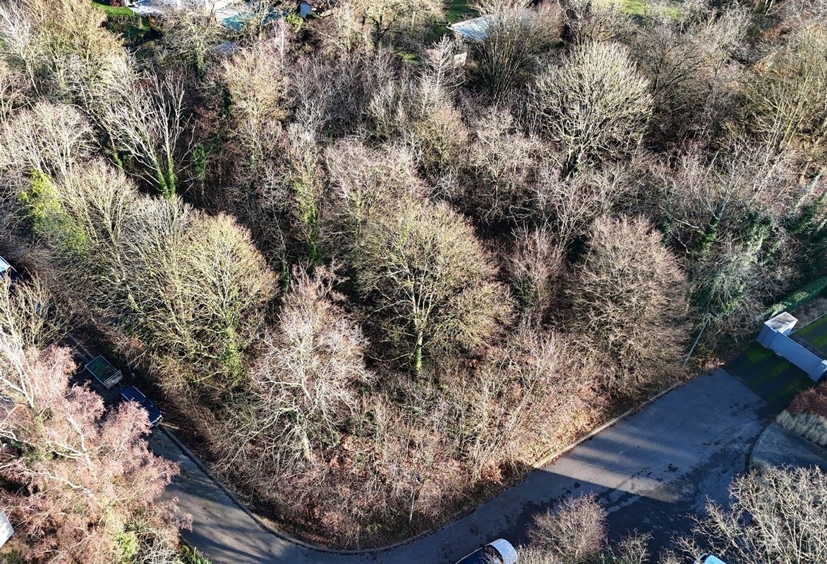 Lot 1 : Terrain à la situation privilégiée