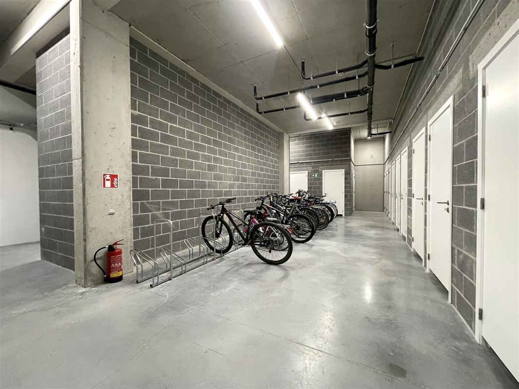Confort & lumière - Terrasse +/- 47 m²