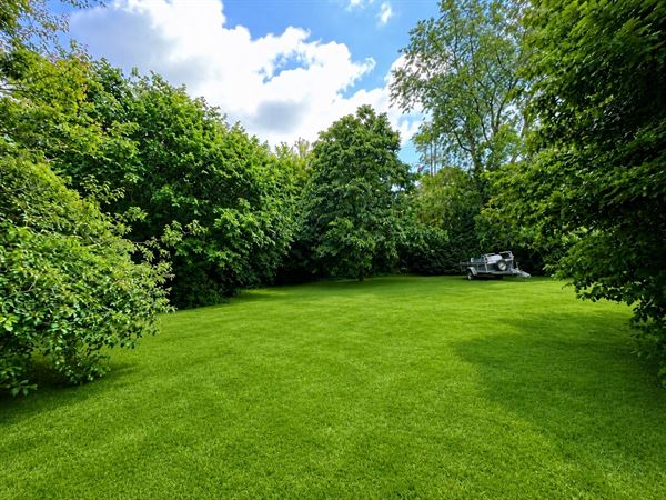 Terrain