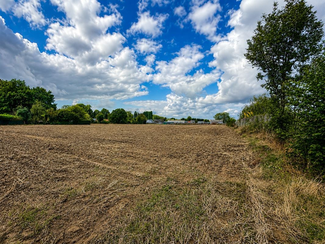 Building plot