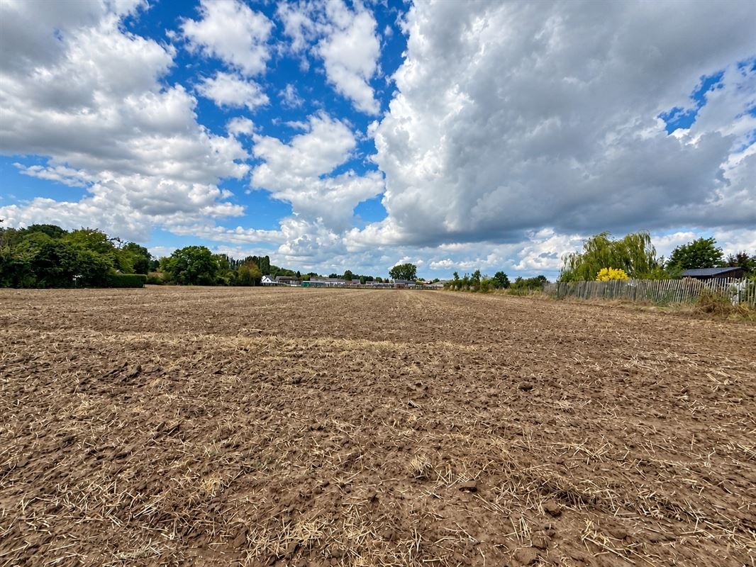 Building plot