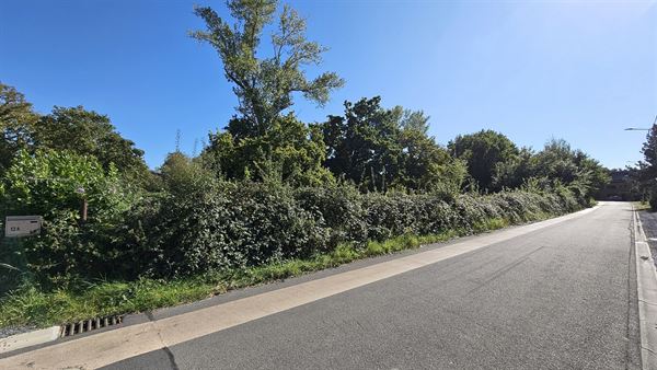 Terrain en zone d'activité économique mixte