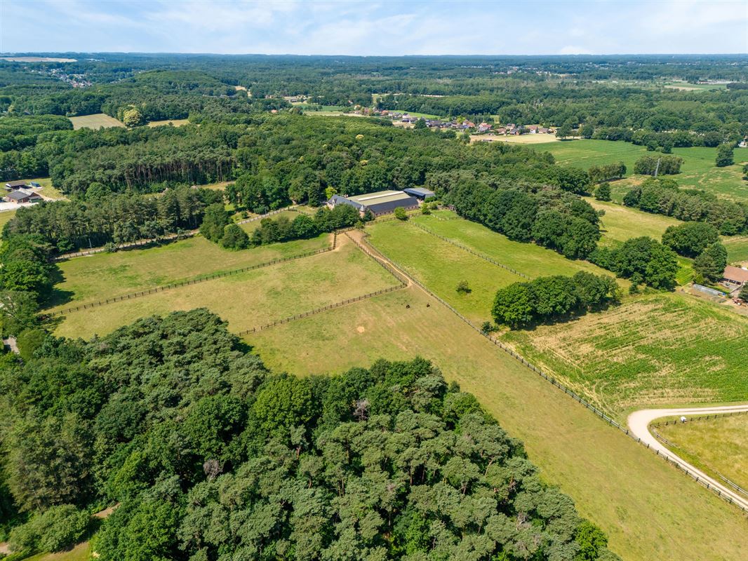 UNIEKE EIGENDOM MET 24 PAARDENSTALLEN EN BINNENPISTE OP CA 10 HECTARE TE PAAL-BERINGEN
