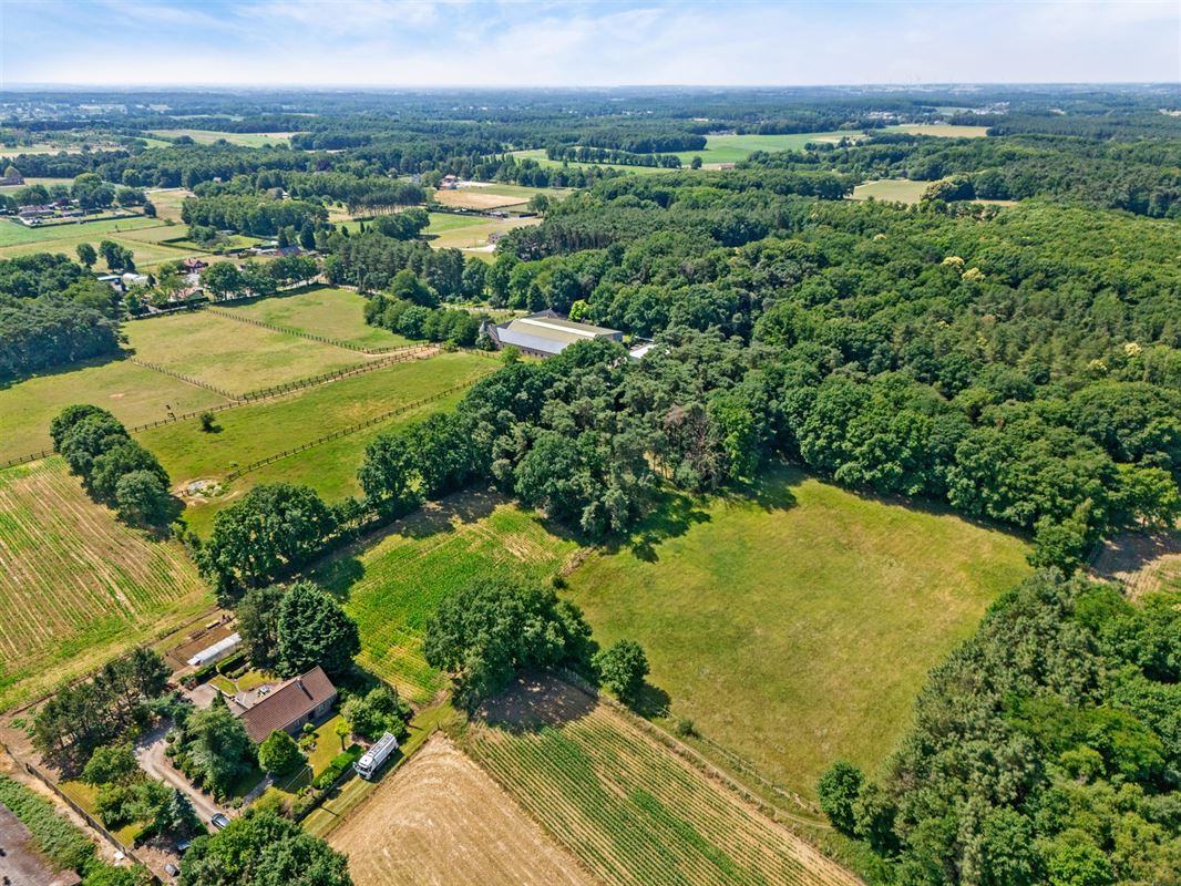 UNIEKE EIGENDOM MET 24 PAARDENSTALLEN EN BINNENPISTE OP CA 10 HECTARE TE PAAL-BERINGEN