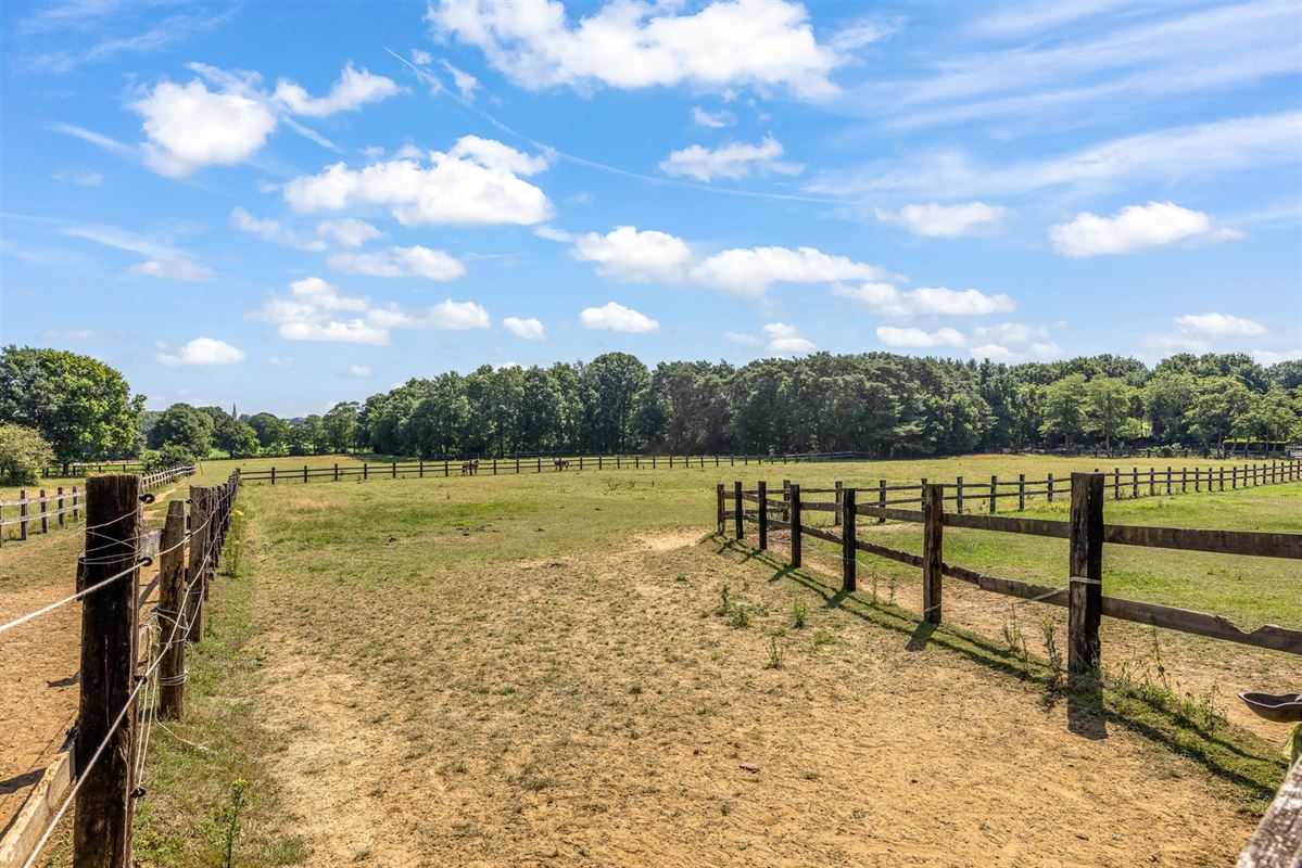 UNIEKE EIGENDOM MET 24 PAARDENSTALLEN EN BINNENPISTE OP CA 10 HECTARE TE PAAL-BERINGEN