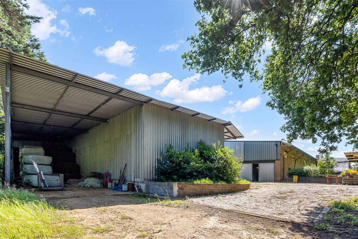 UNIEKE EIGENDOM MET 24 PAARDENSTALLEN EN BINNENPISTE OP CA 10 HECTARE TE PAAL-BERINGEN