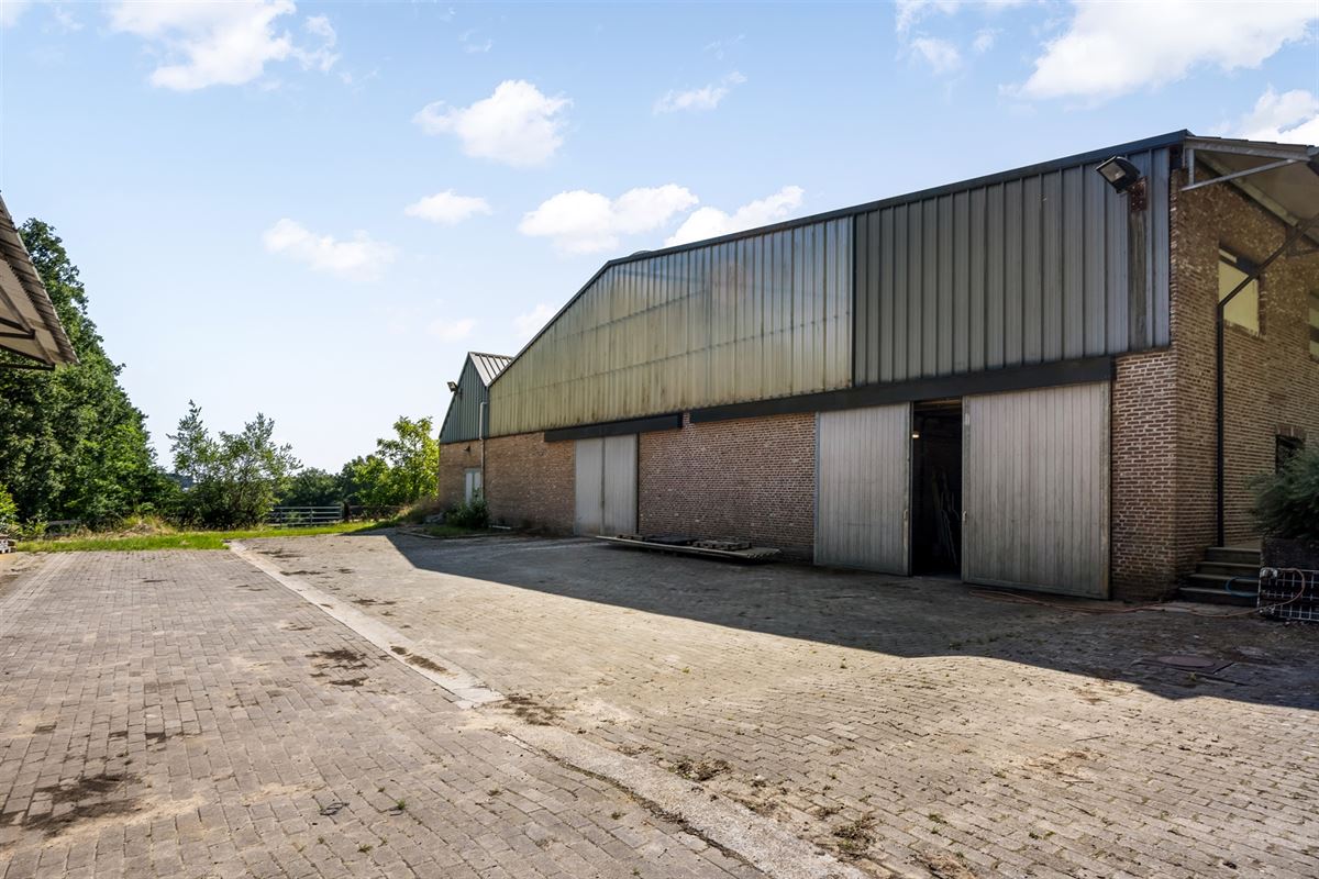 UNIEKE EIGENDOM MET 24 PAARDENSTALLEN EN BINNENPISTE OP CA 10 HECTARE TE PAAL-BERINGEN