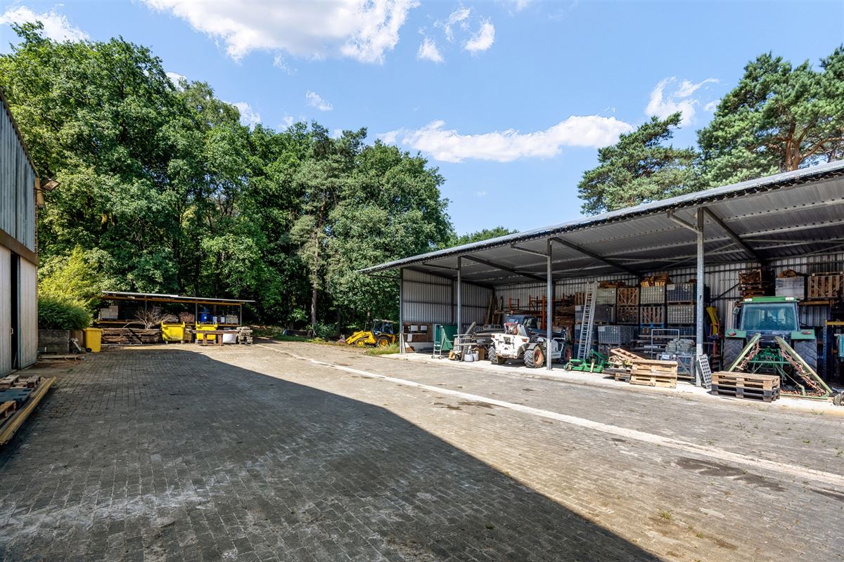 UNIEKE EIGENDOM MET 24 PAARDENSTALLEN EN BINNENPISTE OP CA 10 HECTARE TE PAAL-BERINGEN