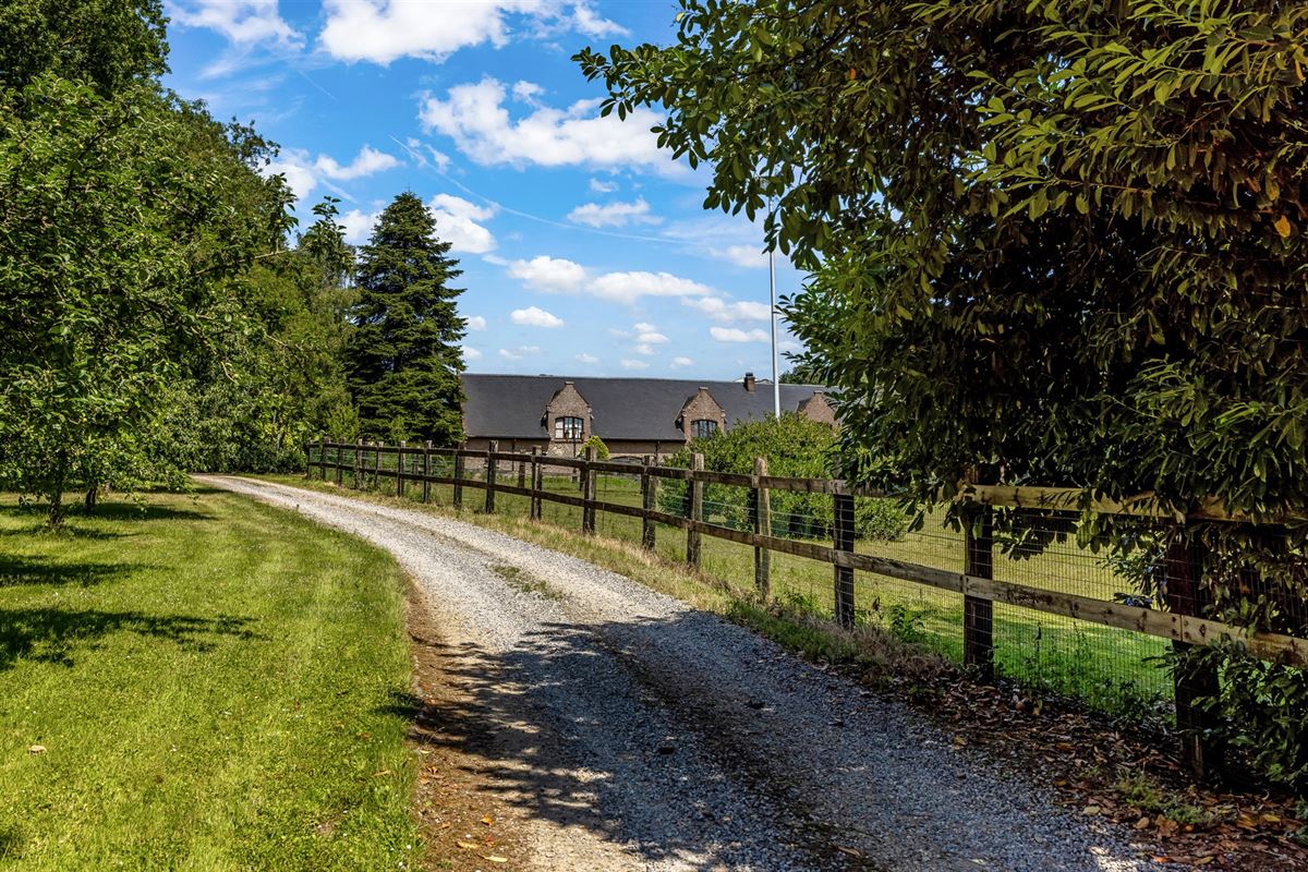 UNIEKE EIGENDOM MET 24 PAARDENSTALLEN EN BINNENPISTE OP CA 10 HECTARE TE PAAL-BERINGEN