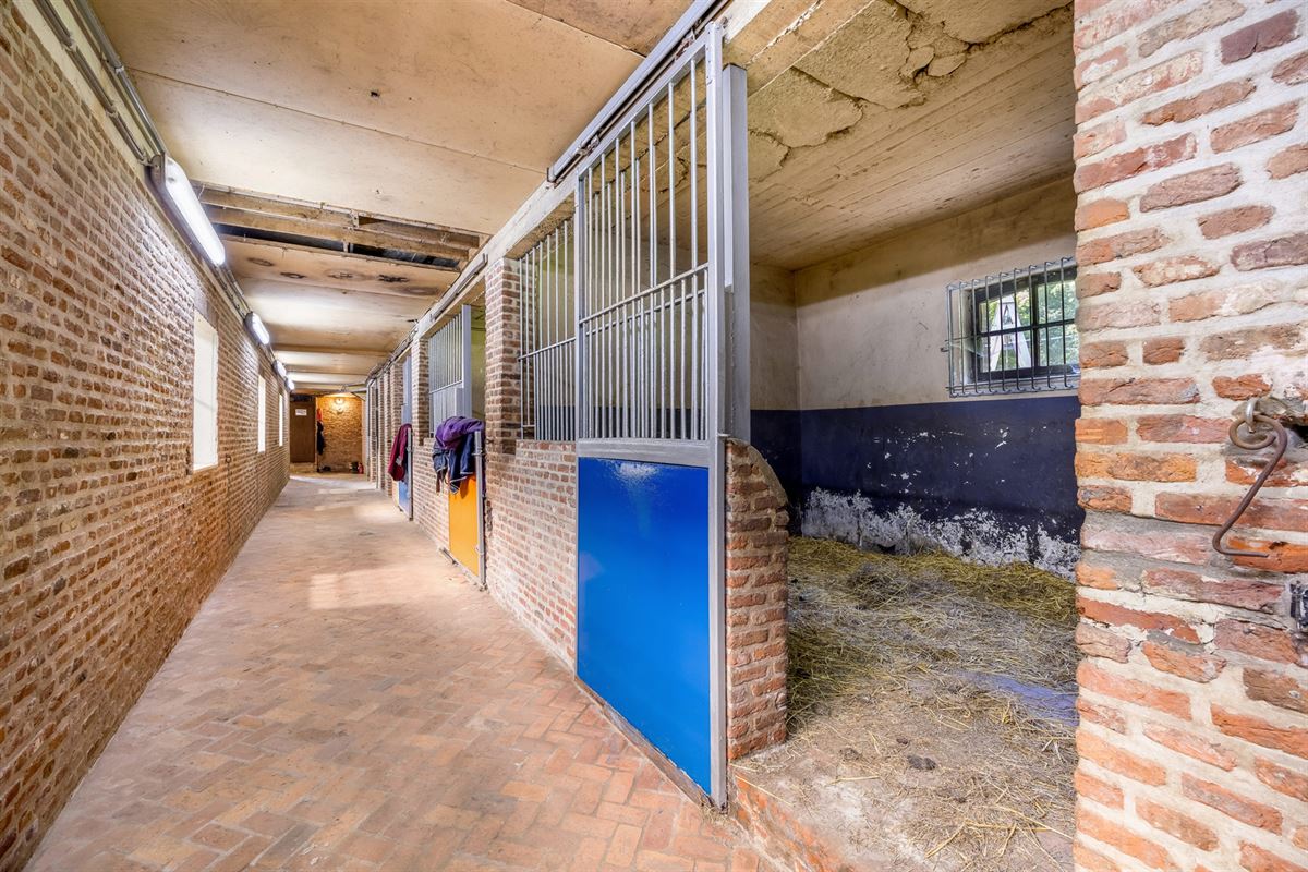 UNIEKE EIGENDOM MET 24 PAARDENSTALLEN EN BINNENPISTE OP CA 10 HECTARE TE PAAL-BERINGEN