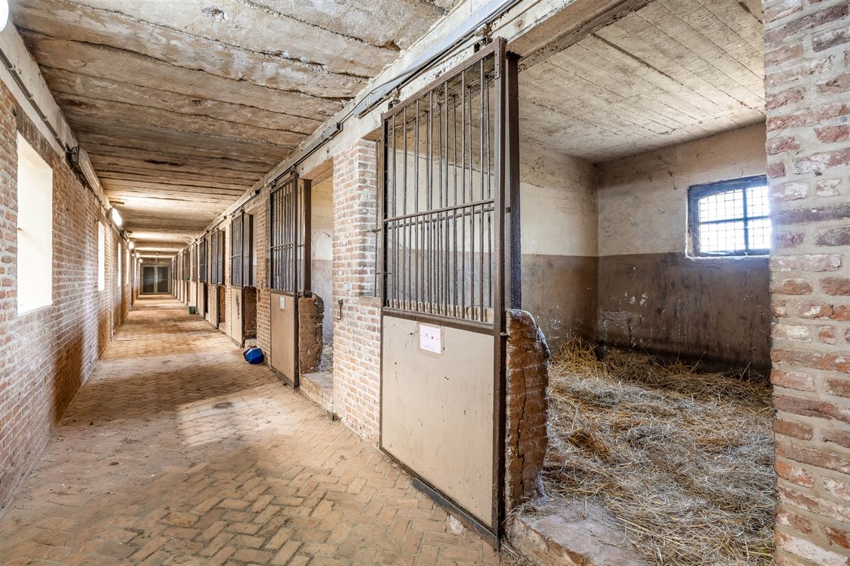 UNIEKE EIGENDOM MET 24 PAARDENSTALLEN EN BINNENPISTE OP CA 10 HECTARE TE PAAL-BERINGEN