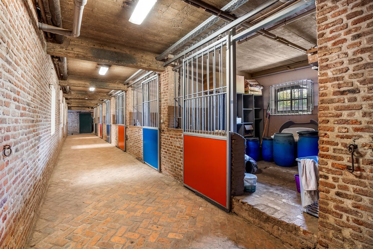 UNIEKE EIGENDOM MET 24 PAARDENSTALLEN EN BINNENPISTE OP CA 10 HECTARE TE PAAL-BERINGEN