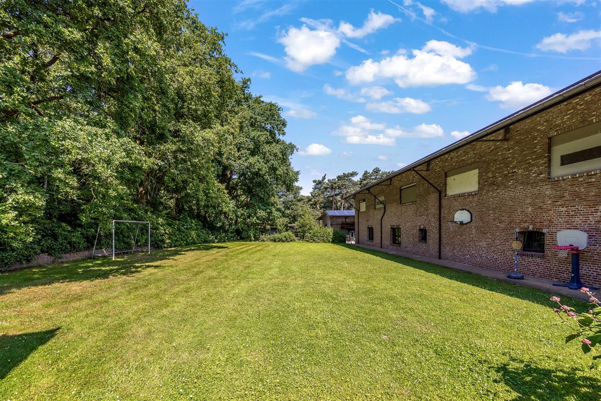 UNIEKE EIGENDOM MET 24 PAARDENSTALLEN EN BINNENPISTE OP CA 10 HECTARE TE PAAL-BERINGEN