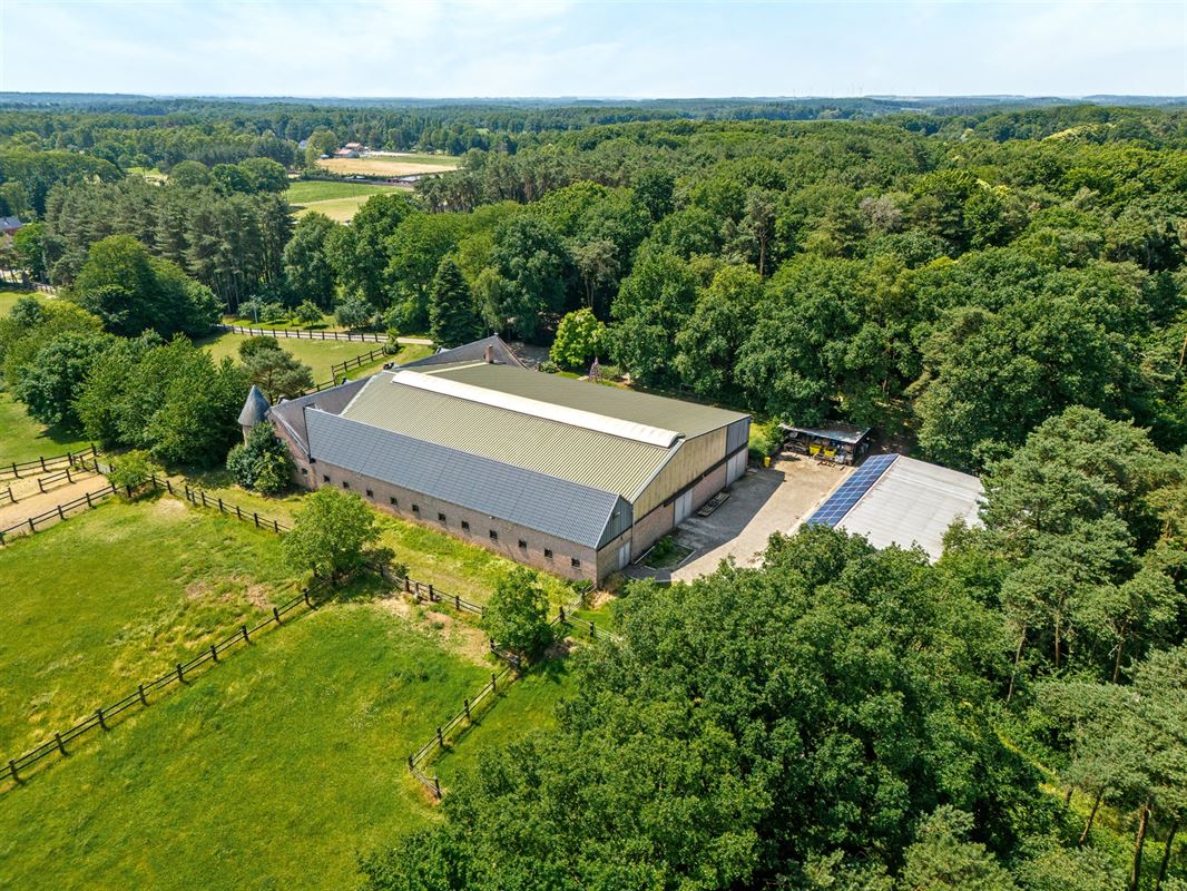 UNIEKE EIGENDOM MET 24 PAARDENSTALLEN EN BINNENPISTE OP CA 10 HECTARE TE PAAL-BERINGEN