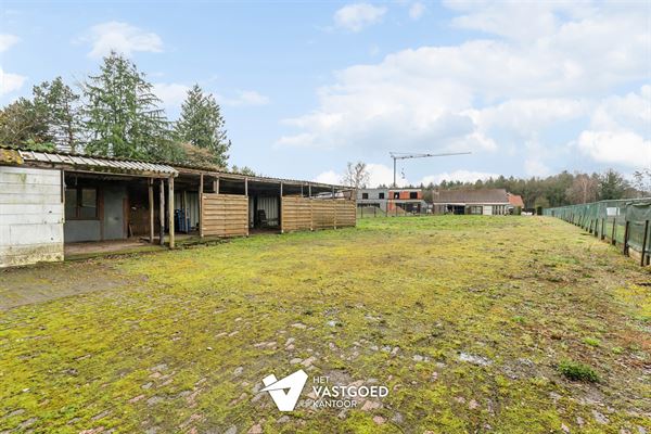 WONING MET VEEL POTENTIEEL OP GUNSTIG GEORIËNTEERD PERCEEL VAN MAAR LIEFST 20 ARE