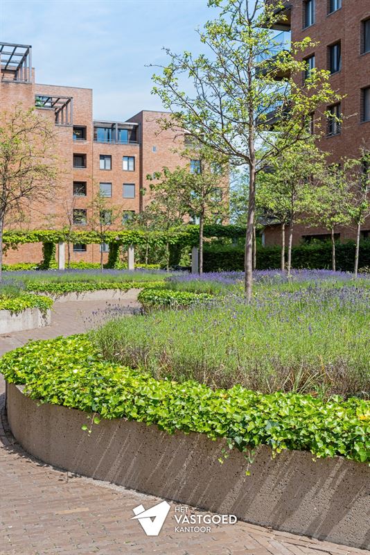 PRACHTIG GELEGEN GELIJKVLOERS APPARTEMENT (80M²) MET 1 SLAAPKAMER EN ZEER RUIM TERRAS AAN DE KEMPISCHE KAAI TE HASSELT