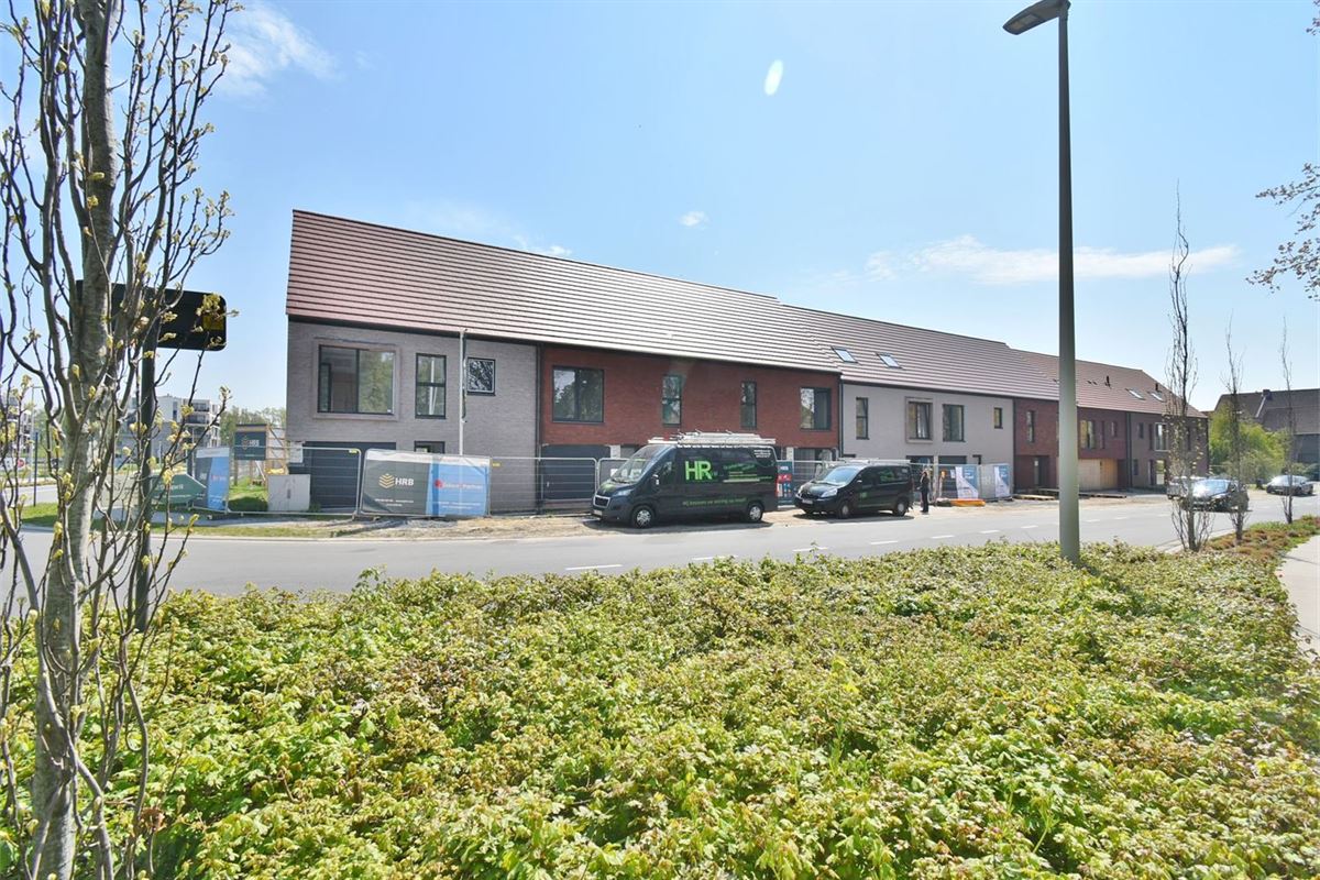 Ter Boom - Pachterslei