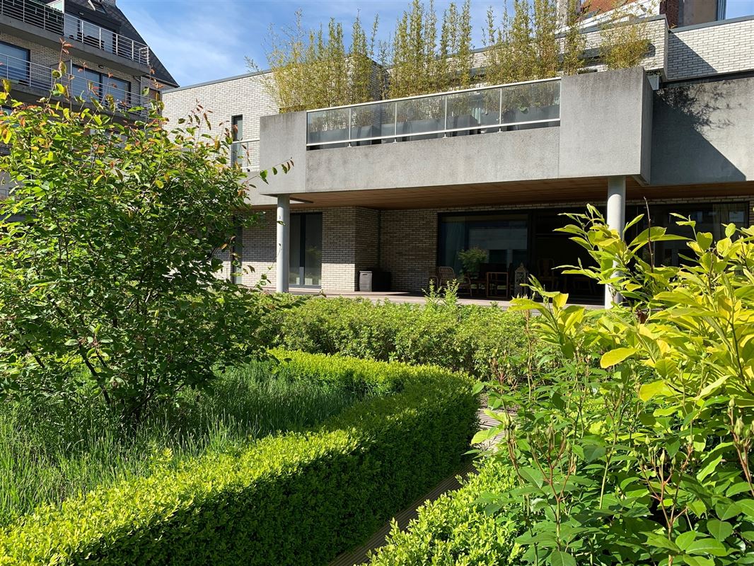 Image 3 : Loft à 1000 BRUXELLES (Belgique) - Prix 1.750 €