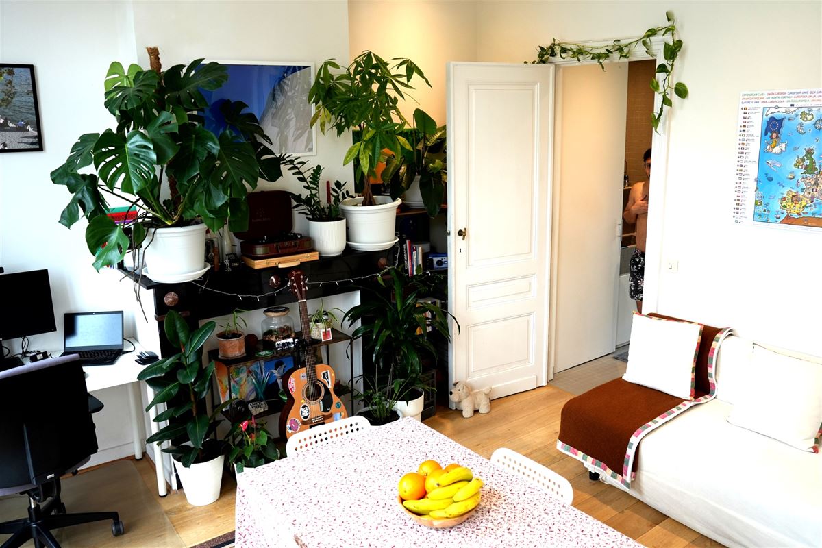 Image 6 : Appartement à 1000 BRUXELLES (Belgique) - Prix 900 €