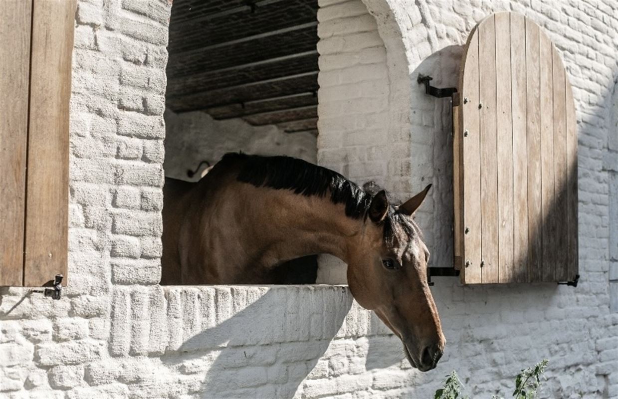 Image 71 : Château à 1640 SINT-GENESIUS-RODE (Belgique) - Prix Prix sur demande