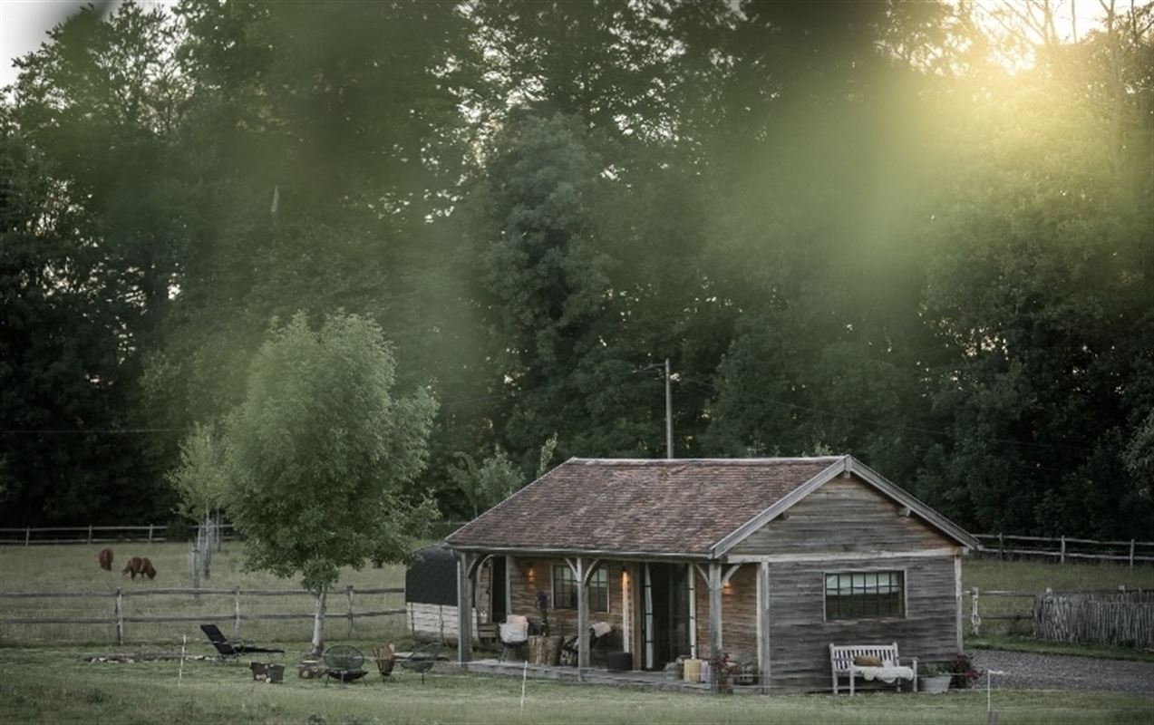 Image 68 : Château à 1640 SINT-GENESIUS-RODE (Belgique) - Prix Prix sur demande