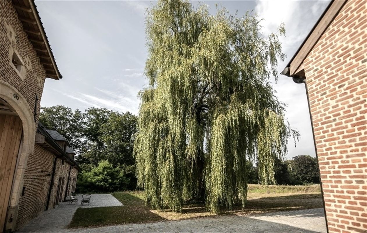 Image 79 : Château à 1640 SINT-GENESIUS-RODE (Belgique) - Prix Prix sur demande