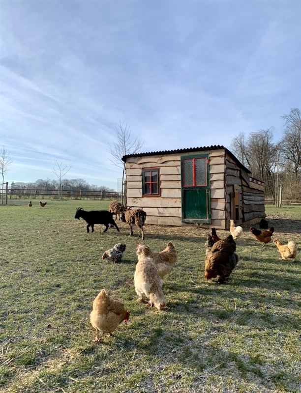 Image 76 : Château à 1640 SINT-GENESIUS-RODE (Belgique) - Prix Prix sur demande