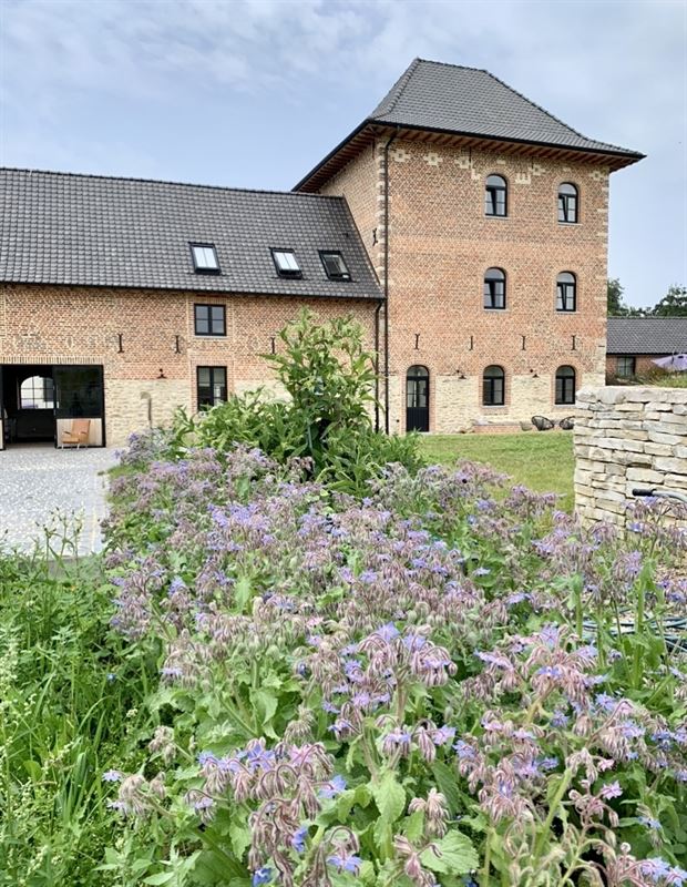 Image 73 : Château à 1640 SINT-GENESIUS-RODE (Belgique) - Prix Prix sur demande
