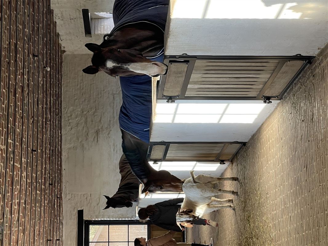 Image 70 : Château à 1640 SINT-GENESIUS-RODE (Belgique) - Prix Prix sur demande