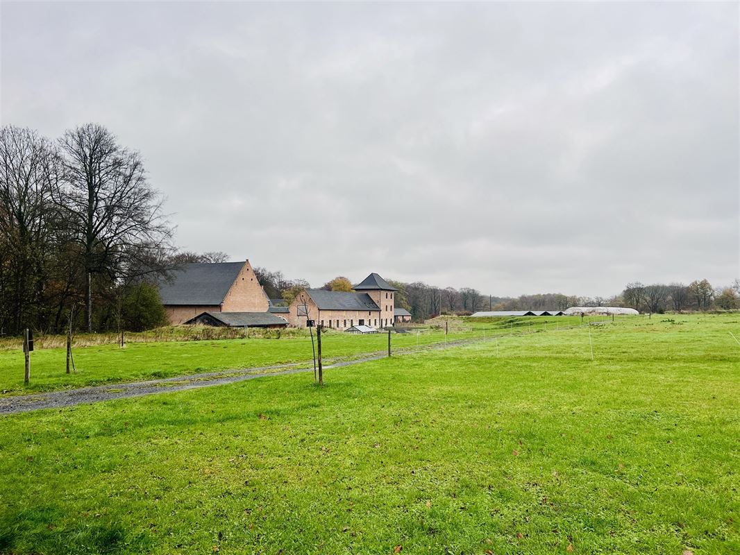 Image 83 : Château à 1640 SINT-GENESIUS-RODE (Belgique) - Prix Prix sur demande