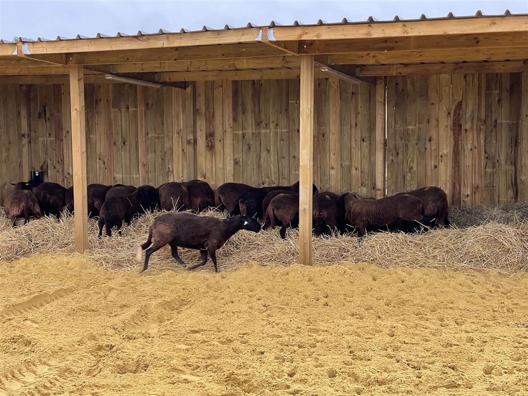 Image 72 : Château à 1640 SINT-GENESIUS-RODE (Belgique) - Prix Prix sur demande