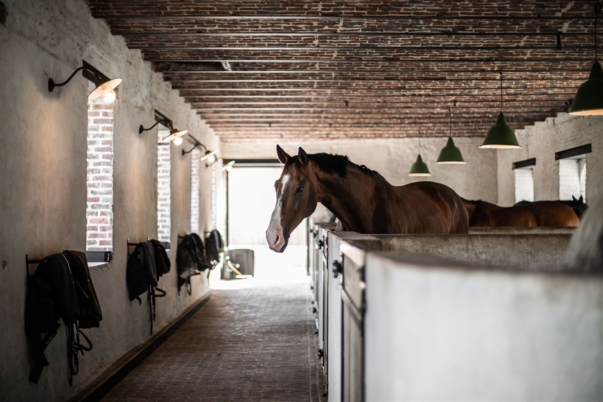 Image 18 : Propriété de prestige à 1315 INCOURT (Belgique) - Prix <small>à partir de</small> 5.500.000 &euro;